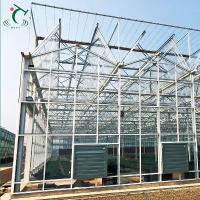 China Venlo Glass Greenhouse For Europe