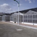 PC rajčatové skleník